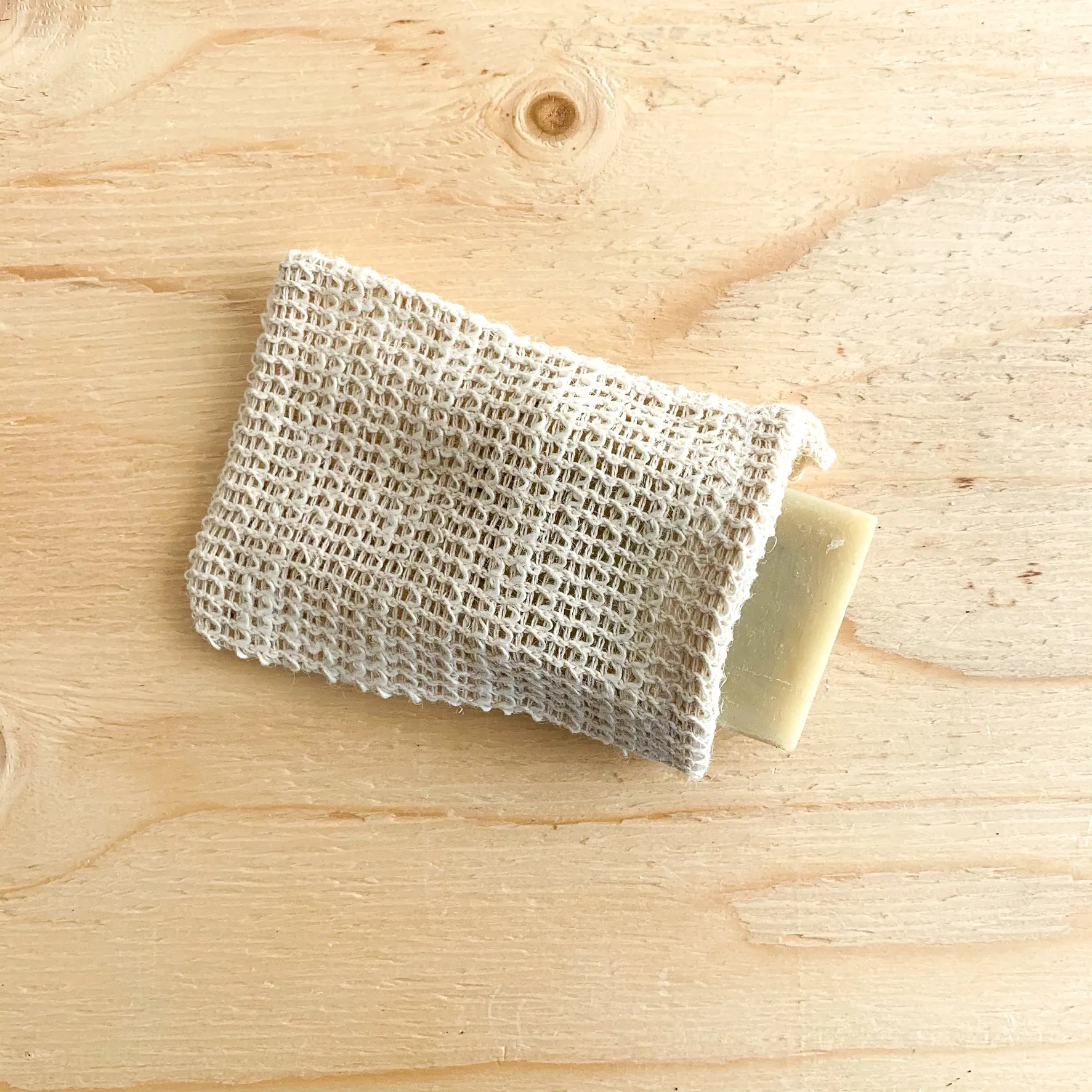 Agave Soap Pouch