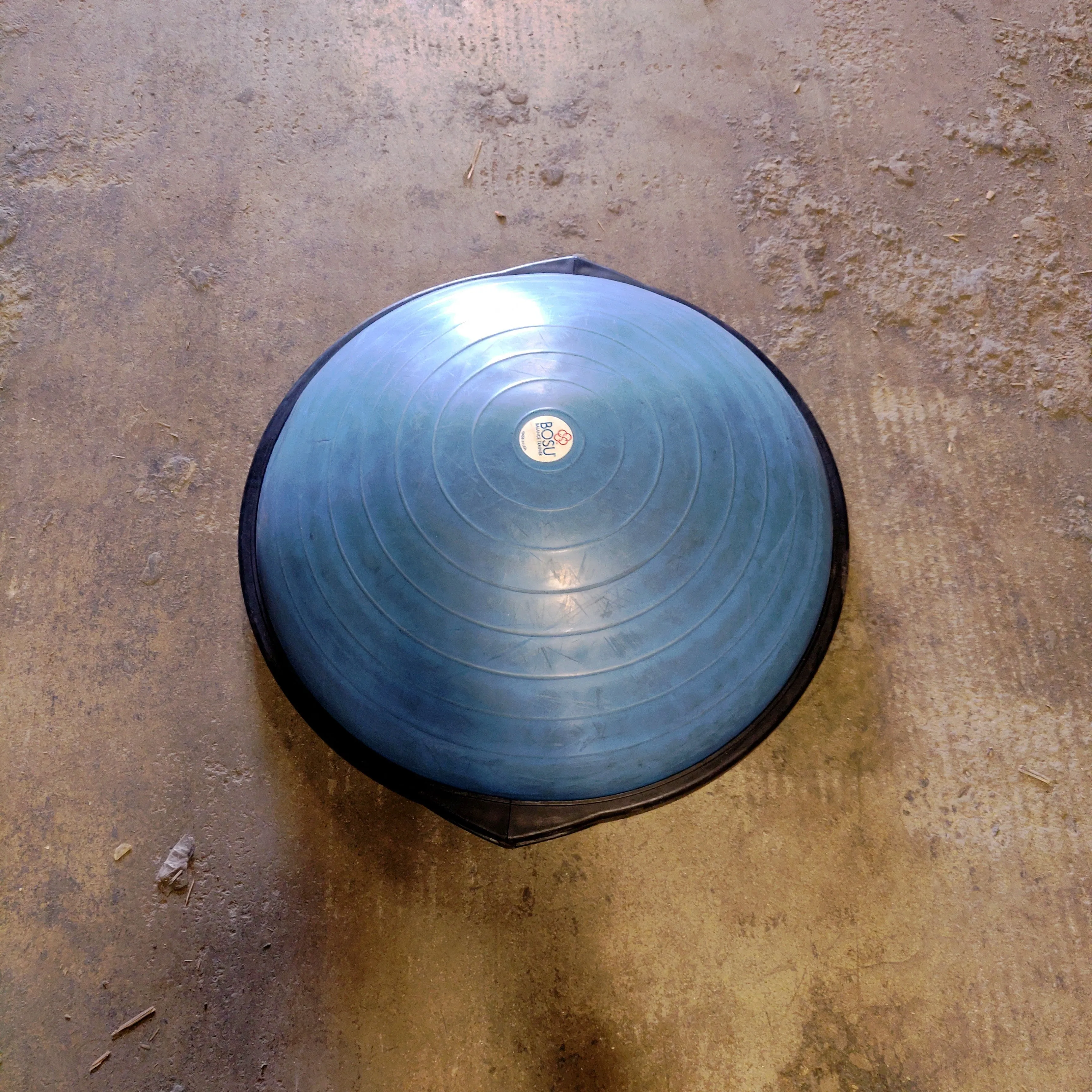 Bosu Ball Balance Trainer