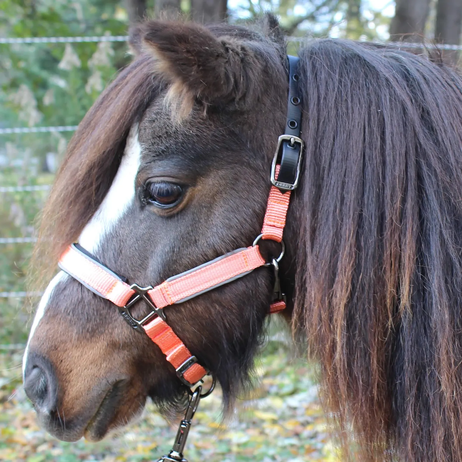 Derby Originals Desert Rose Collection Blackout Reflective Safety Flex-Webb Horse Halters with Matching Lead Ropes