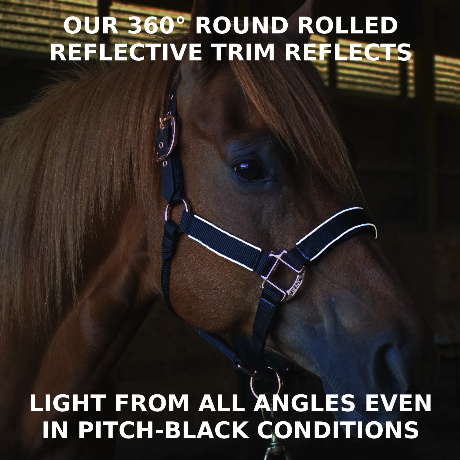 Derby Originals Desert Rose Collection Blackout Reflective Safety Flex-Webb Horse Halters with Matching Lead Ropes