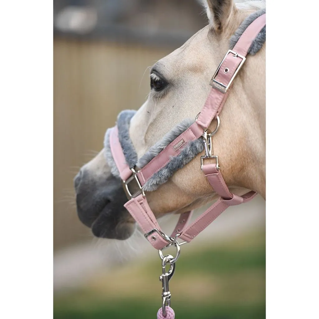 Equestrian Stockholm Halter and Lead set with Fur PINK