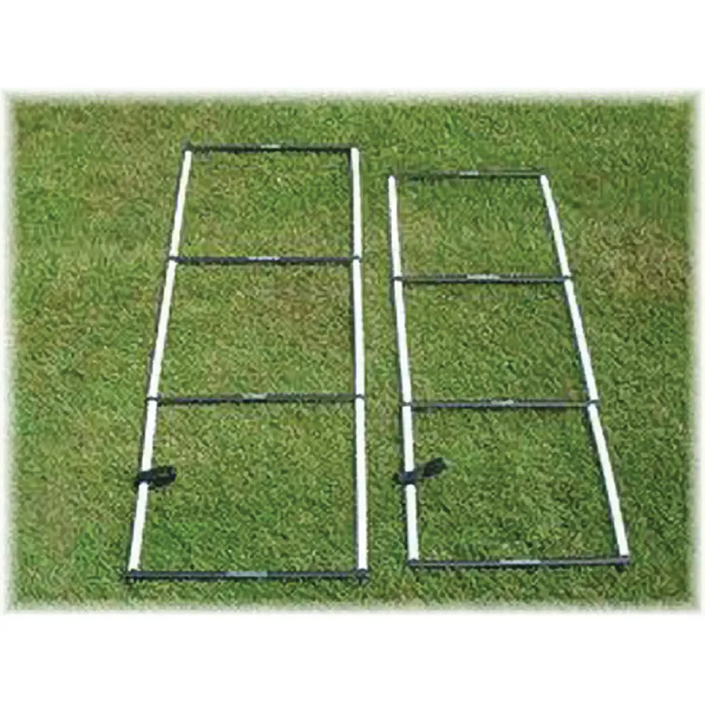 G1 Agility Ladder