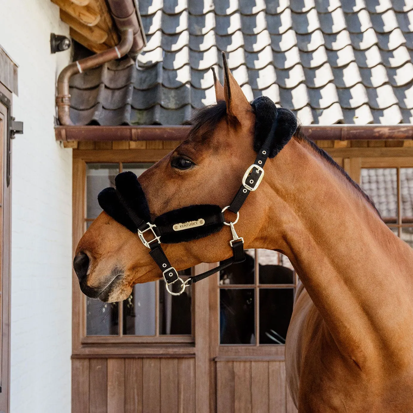 Kentucky Horsewear Nylon Sheepskin Headcollar Soft - Black