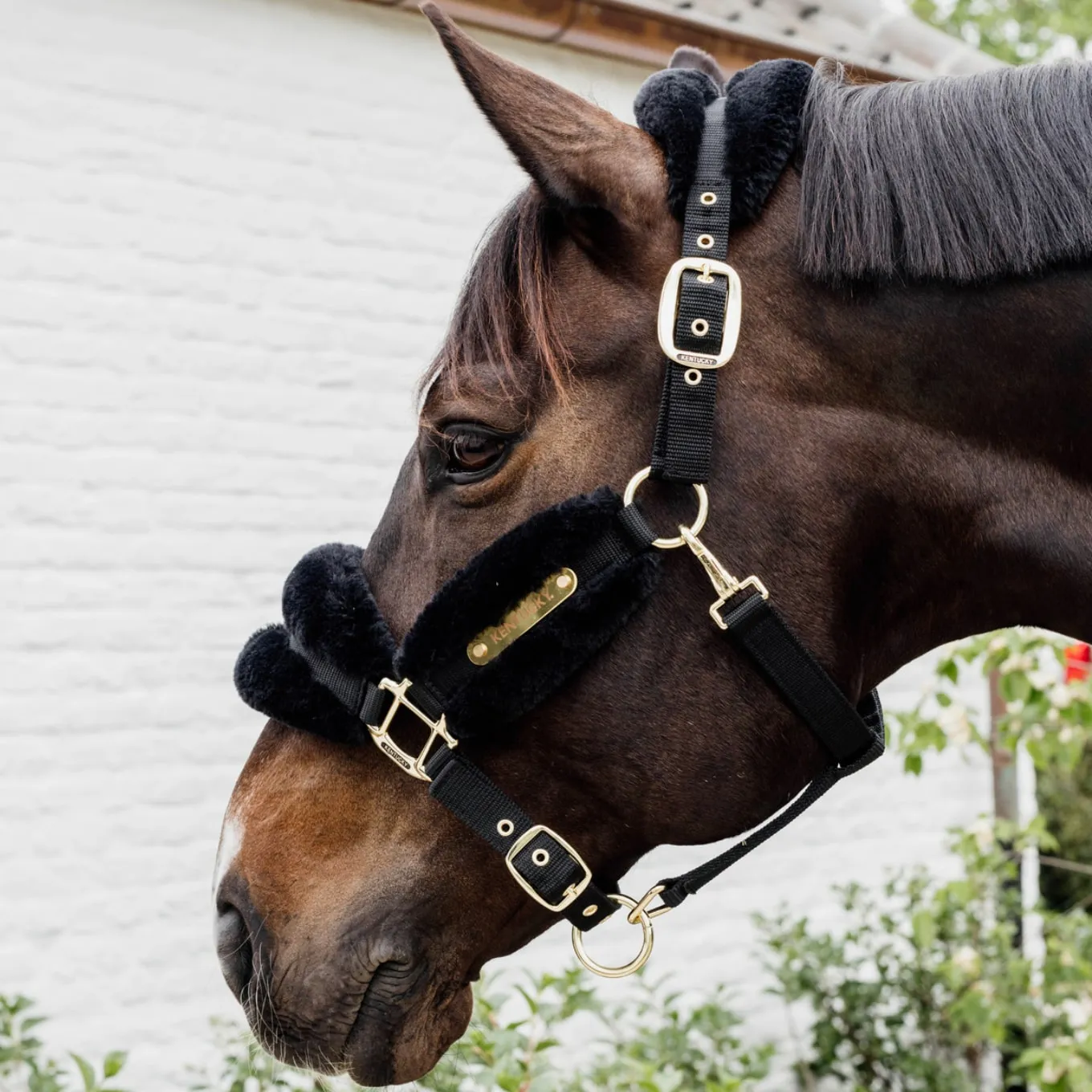 Kentucky Horsewear Nylon Sheepskin Headcollar Soft - Black