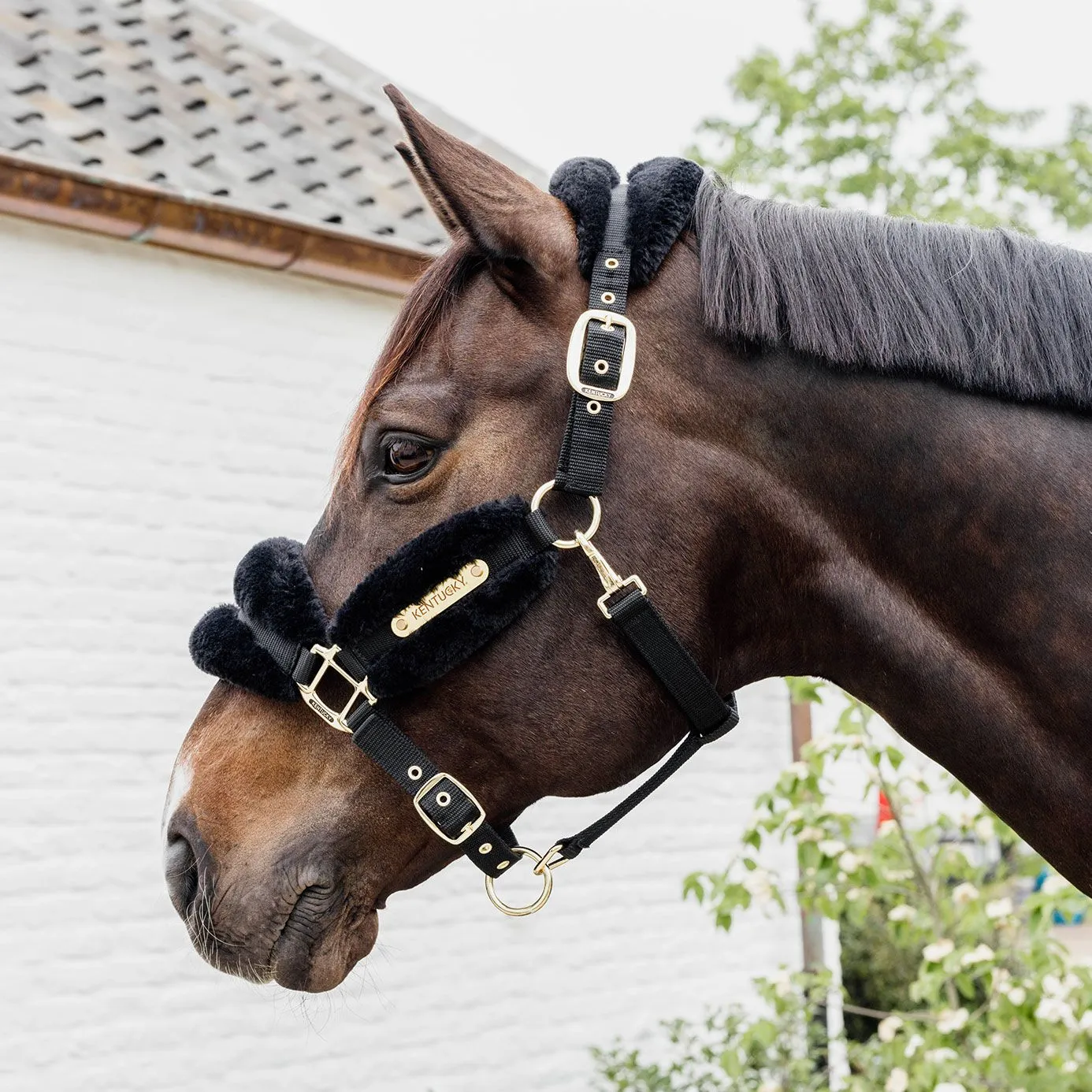 Kentucky Horsewear Nylon Sheepskin Headcollar Soft - Black