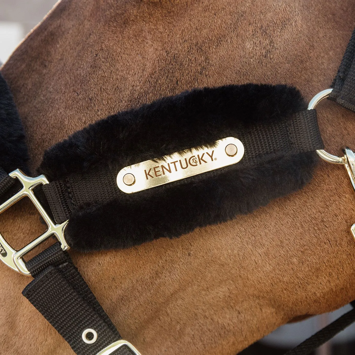 Kentucky Horsewear Nylon Sheepskin Headcollar Soft - Black