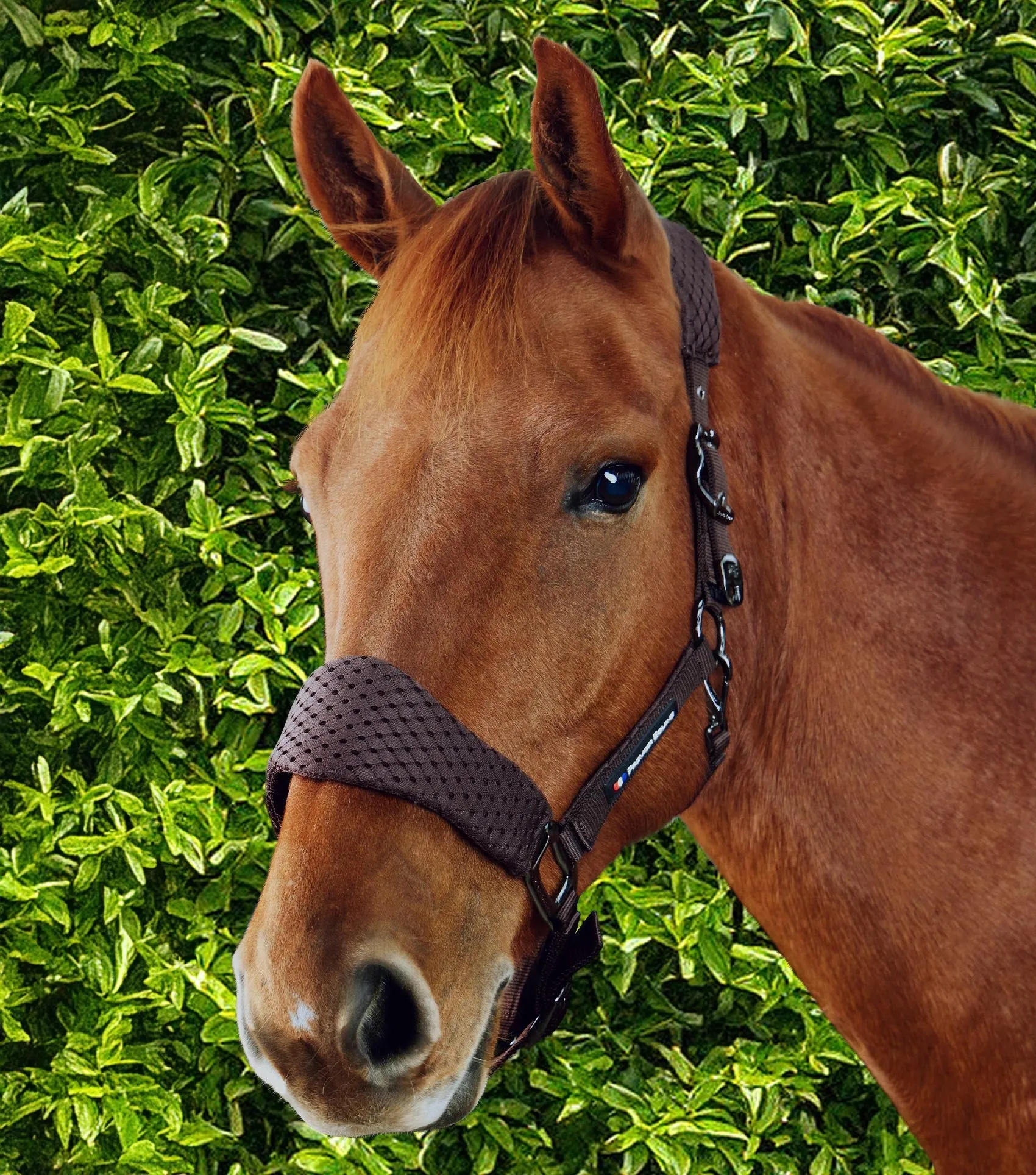 Necto 3D Mesh Head Collar with Lead Rope Brown