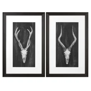 Rustic European Mounts Prints S/2