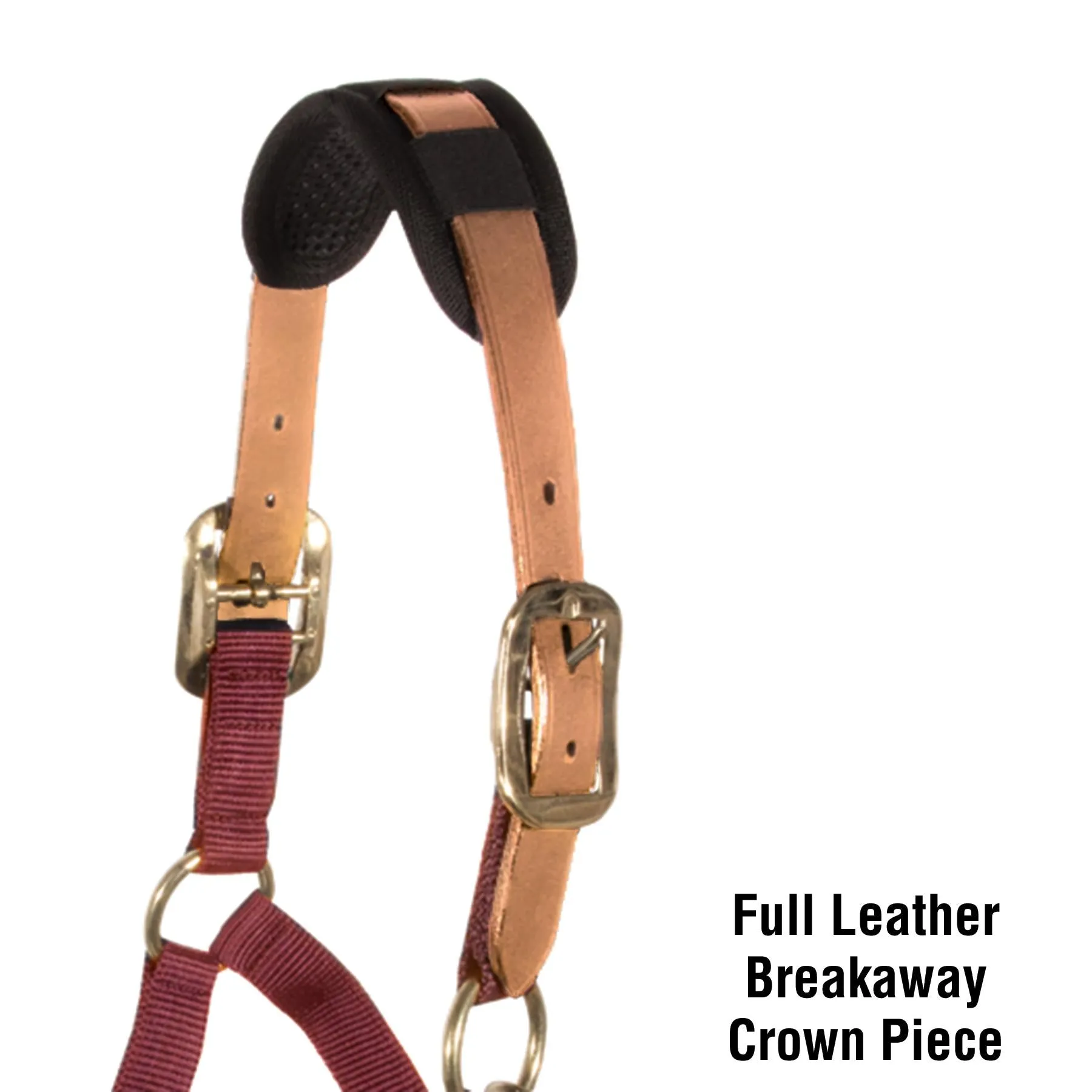 Schneiders Dura-tech® Comfort Breakaway Headcollar (with full leather crown piece)